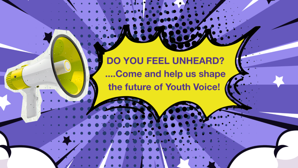 No more box ticking – We need Authentic Youth Voice Now!